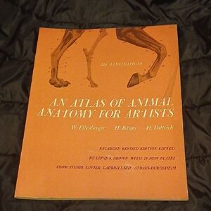 Vintage Atlas Of Animal Anatomy Art Book - 1956